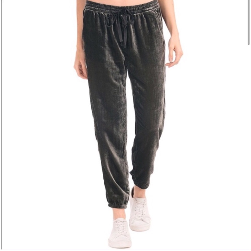 The Gap Velvet Joggers